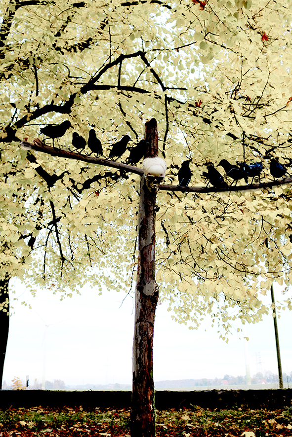 Baum des Grauens, ca. 220cm hoch